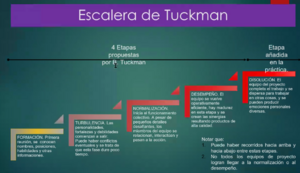 Tuckman1.png